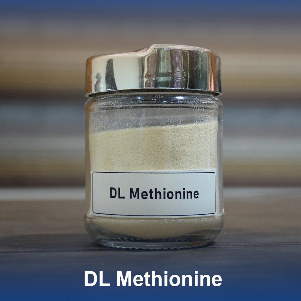 DL Methionine