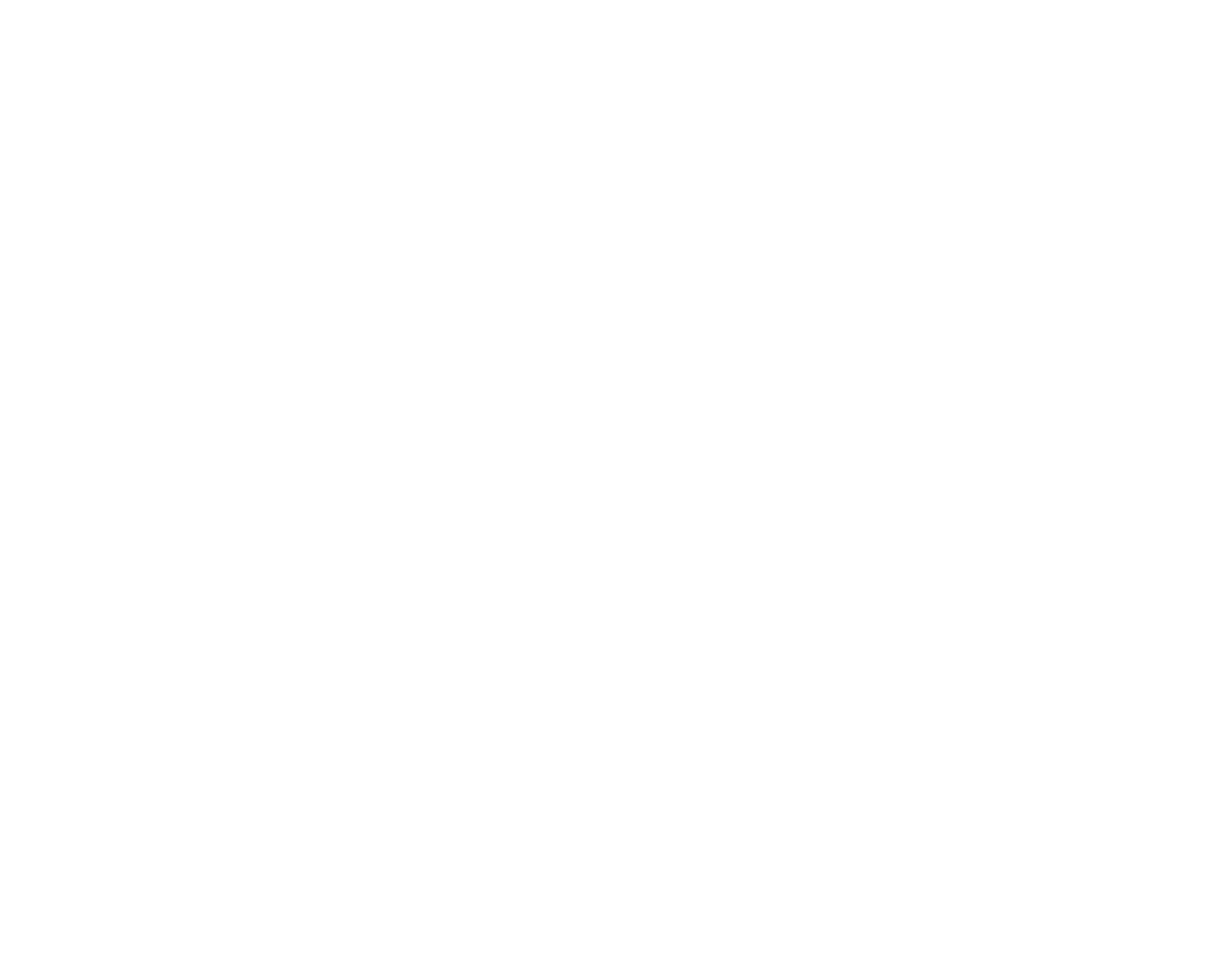 ELSALHY FOR IMPORTING AND TRADING AND INVESTMENT