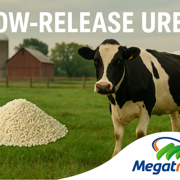 Slow release urea